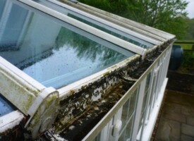 An image of a dirty conservatory