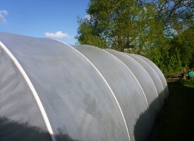An image of a freshly cleaned conservatory