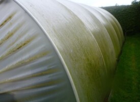 An image of a dirty conservatory