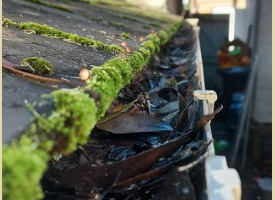 A dirty Gutter